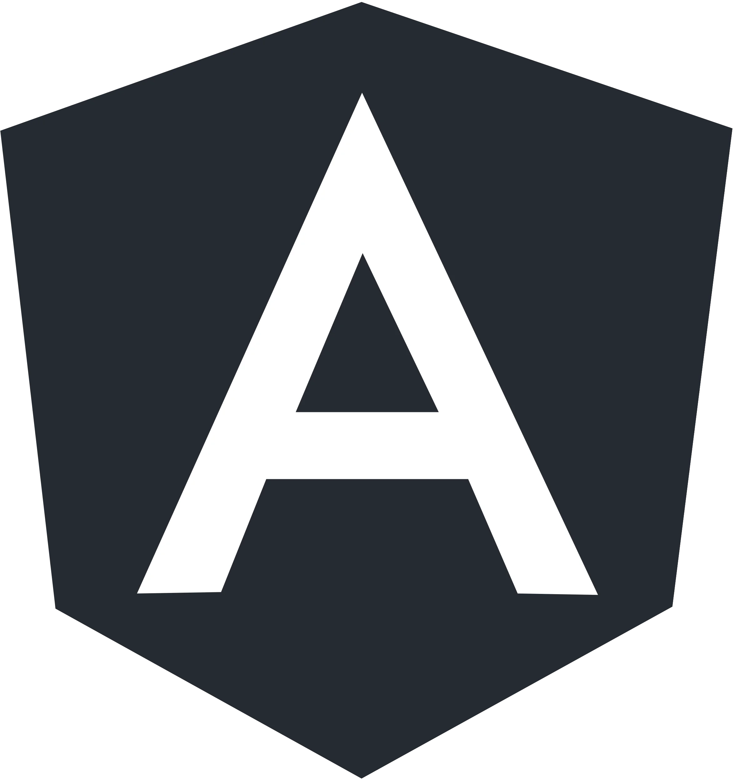 Angular JS